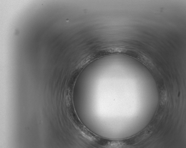 X0000080100414200612221744