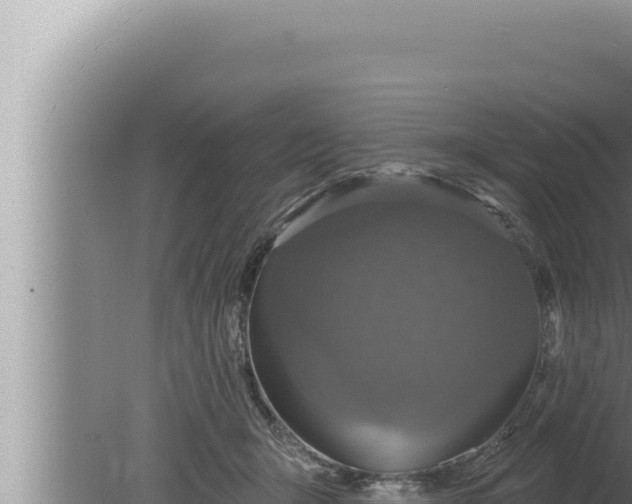 X0000080100415200612221744