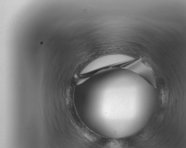 X0000080100416200612221744