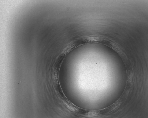 X0000080100418200612221744