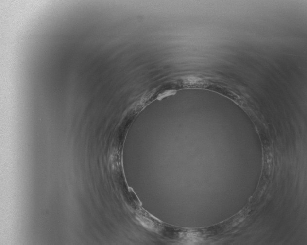 X0000080100419200612221744