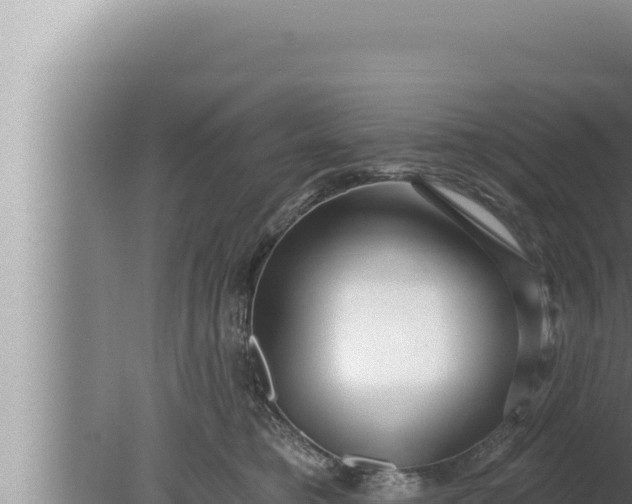 X0000080100421200612221744