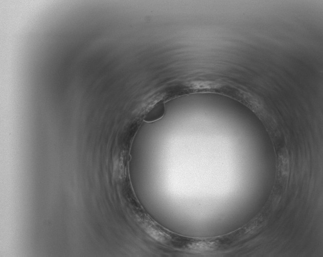 X0000080100422200612221744