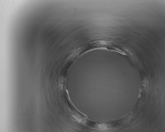 X0000080100423200612221743