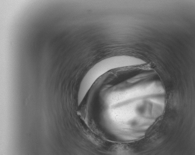 X0000080100424200612221743