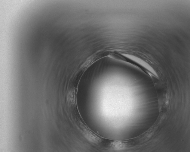 X0000080100425200612221743