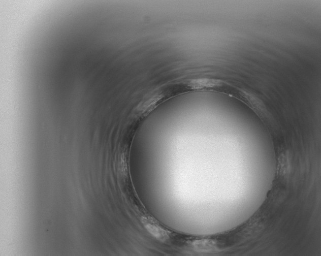 X0000080100426200612221743