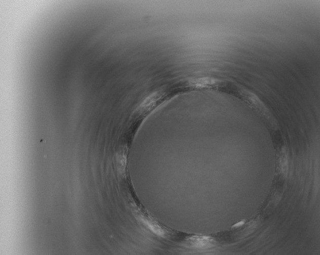 X0000080100427200612221743