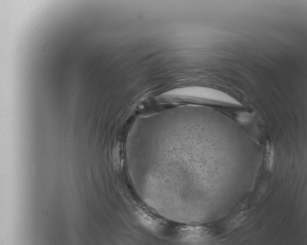 X0000080100428200612221743