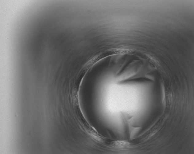 X0000080100429200612221743