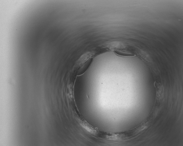 X0000080100430200612221743