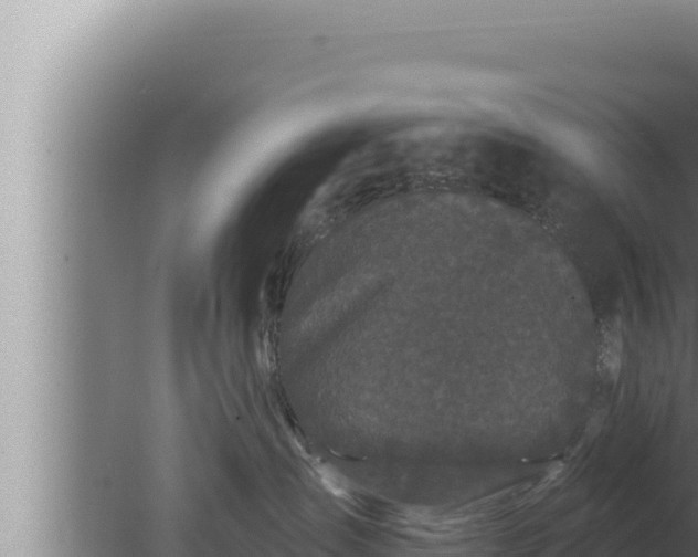 X0000080100431200612221743