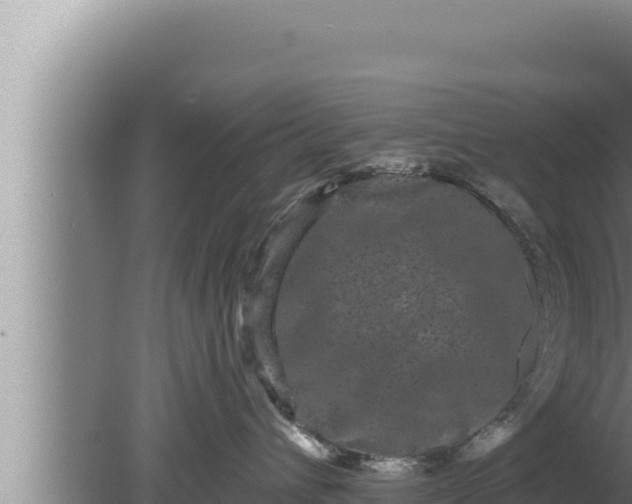 X0000080100432200612221743