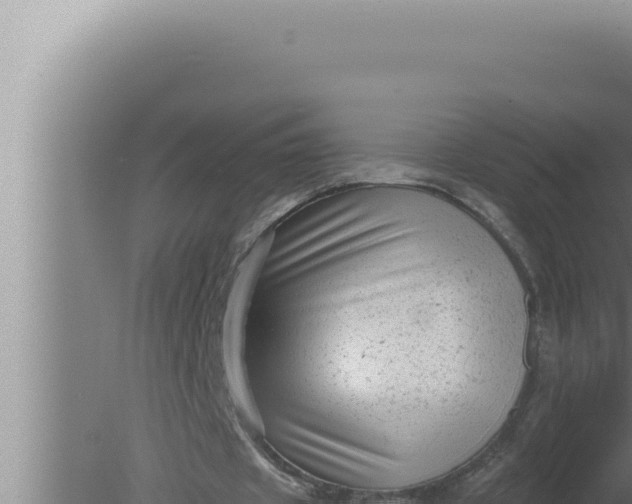 X0000080100433200612221743