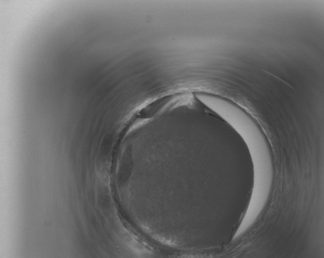 X0000080100434200612221743