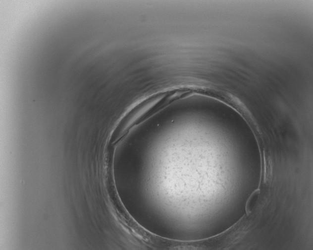 X0000080100435200612221743