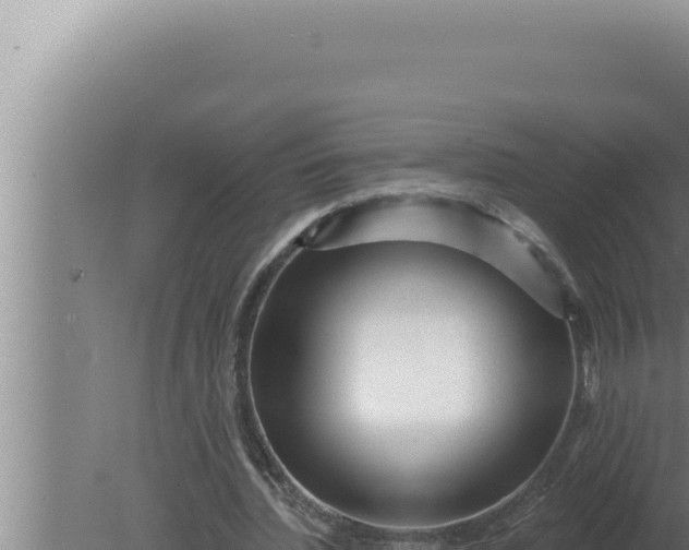 X0000080100436200612221743