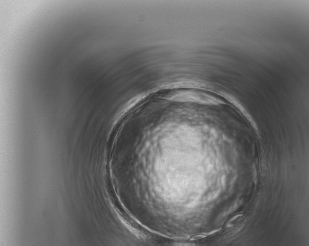 X0000080100437200612221743