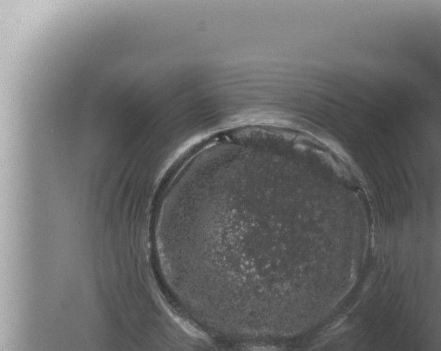 X0000080100438200612221743