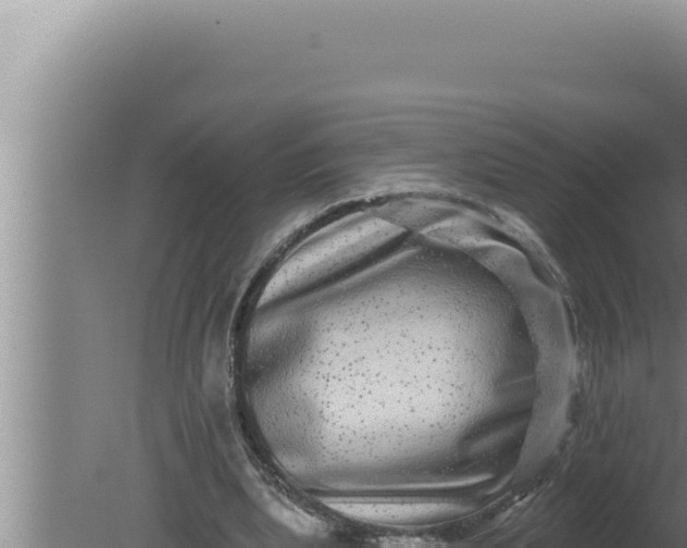 X0000080100439200612221743