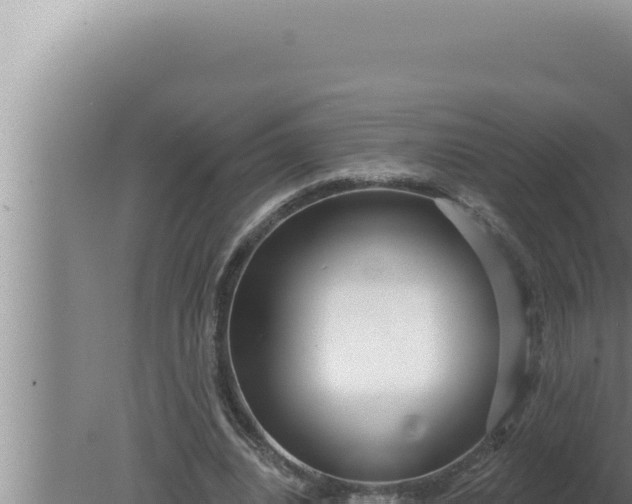 X0000080100440200612221743