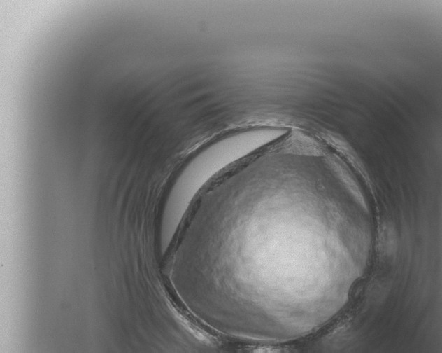 X0000080100441200612221743