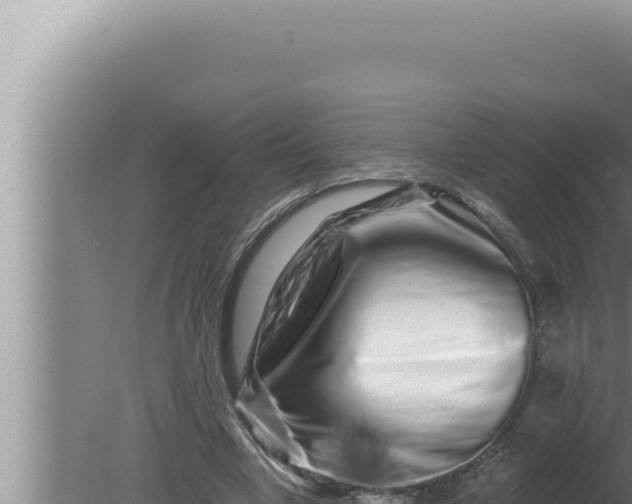 X0000080100442200612221743