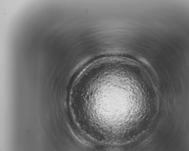 X0000080100443200612221743