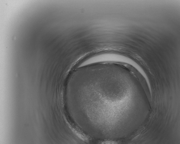 X0000080100444200612221743