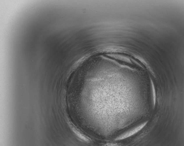 X0000080100445200612221743