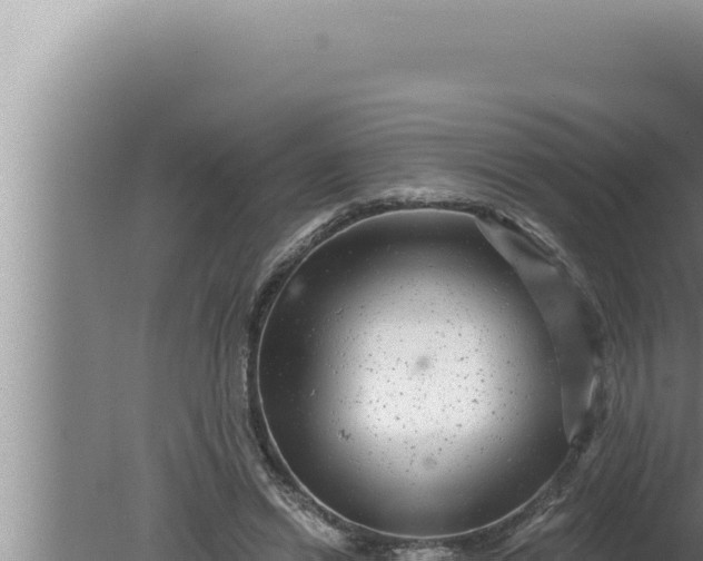 X0000080100446200612221743