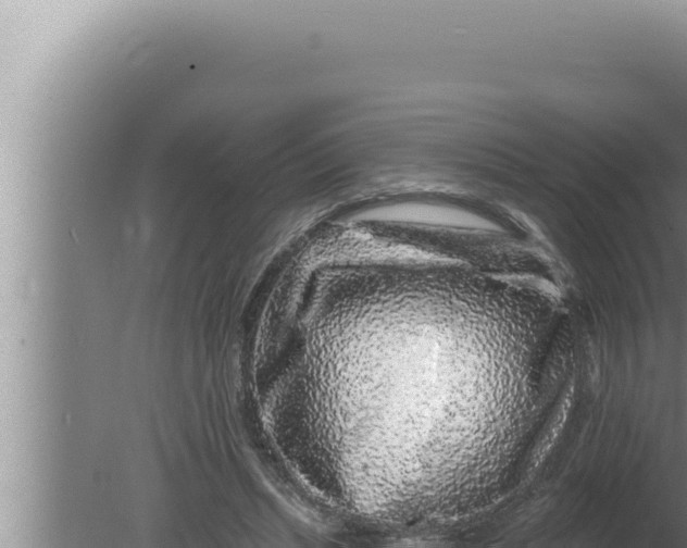 X0000080100447200612221743