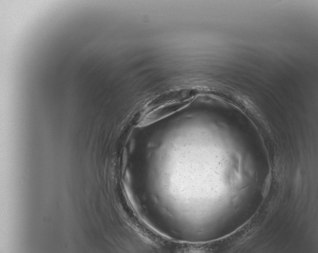 X0000080100449200612221743