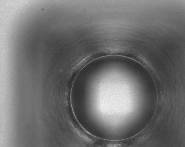 X0000080100450200612221743