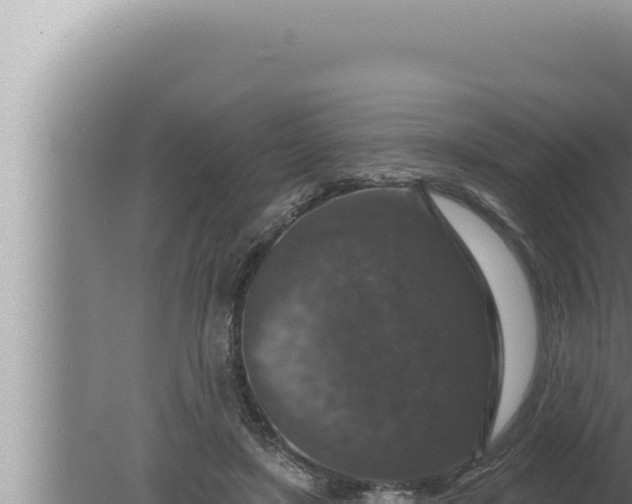 X0000080100451200612221743