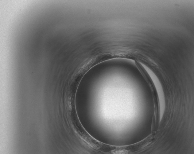 X0000080100452200612221743