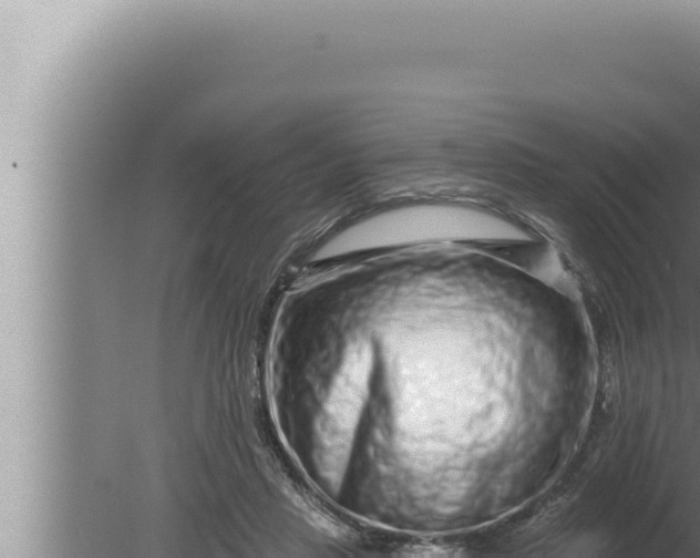 X0000080100453200612221743