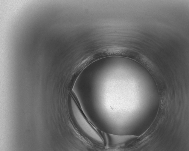 X0000080100454200612221743