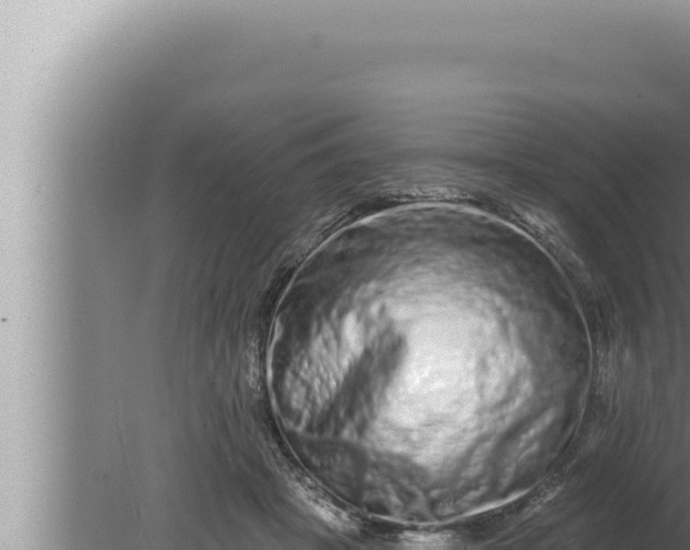 X0000080100457200612221743