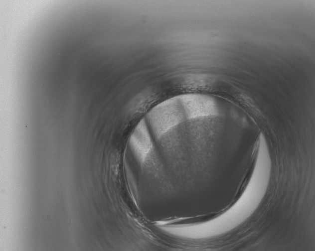 X0000080100458200612221743