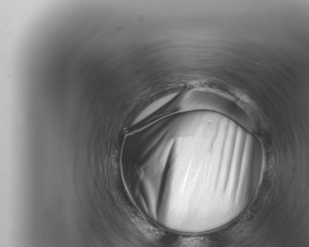 X0000080100461200612221743