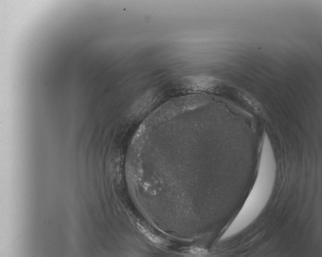 X0000080100462200612221743