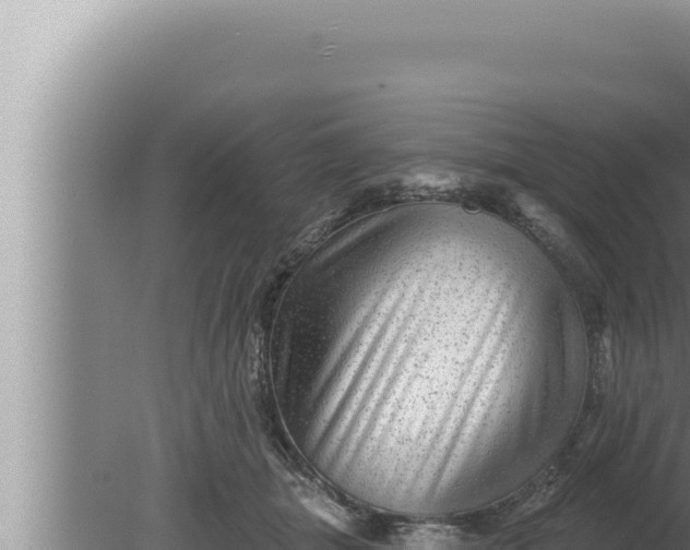 X0000080100463200612221743