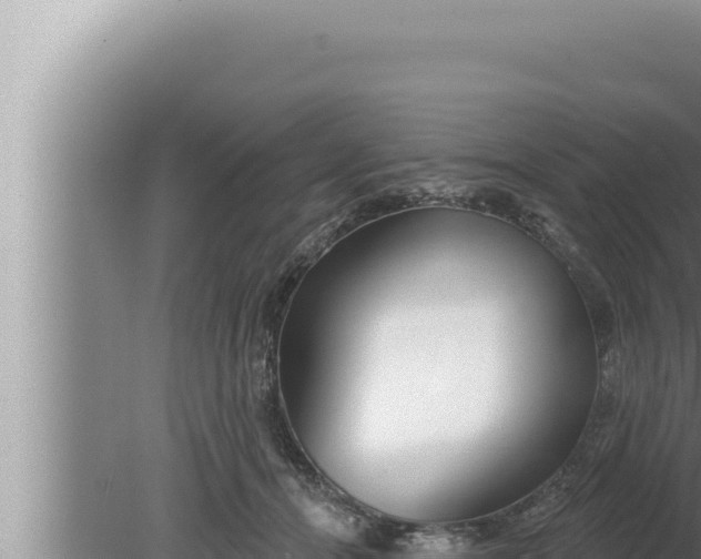 X0000080100464200612221743