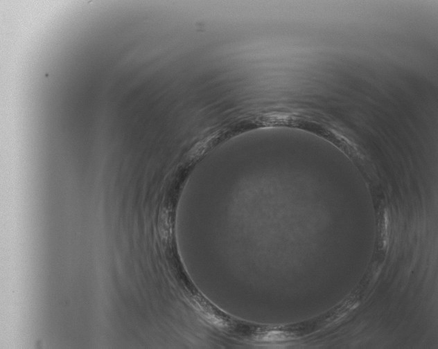 X0000080100467200612221743