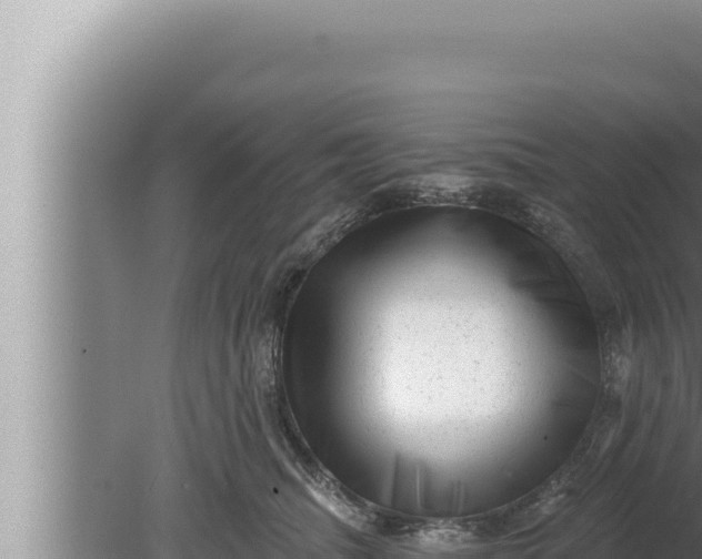 X0000080100468200612221743