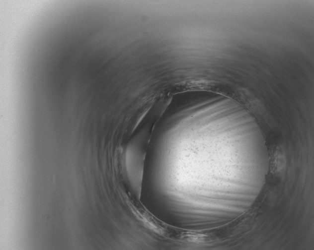 X0000080100472200612221743