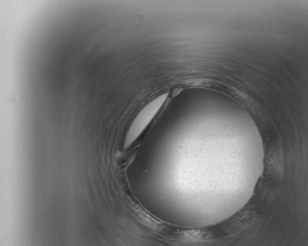 X0000080100473200612221743