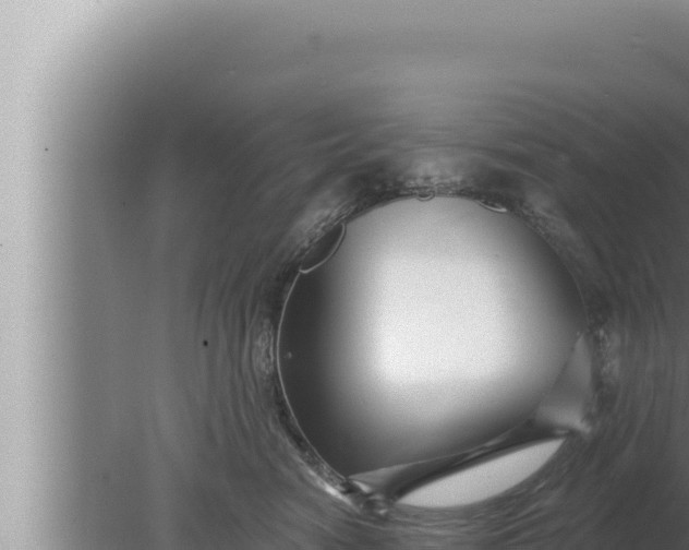 X0000080100474200612221743