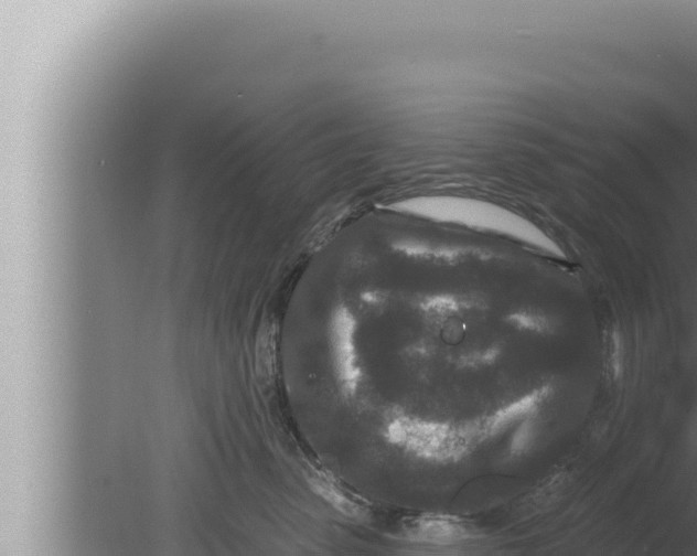 X0000080100475200612221743